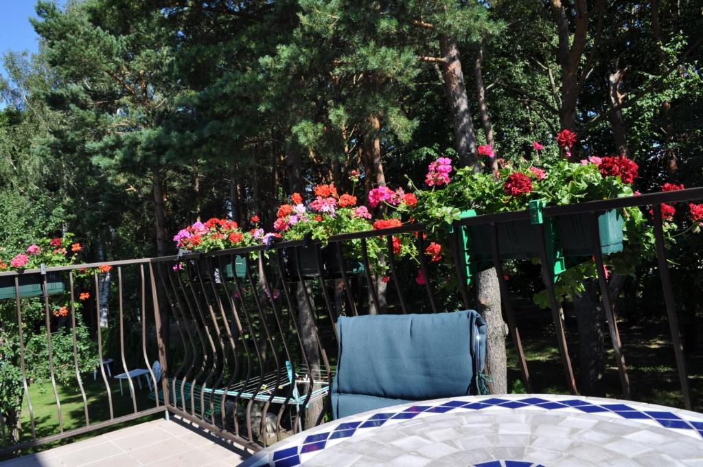 Agava Villa Palanga Exterior foto